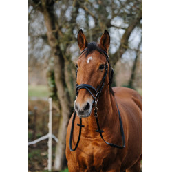 Bridon Norton Training Noir Bridon Norton Training Noir