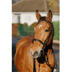 Bridon Norton Training Noir Bridon Norton Training Noir