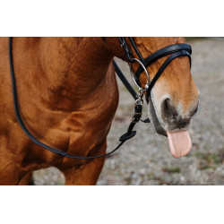 Rênes caoutchouc Norton Training PVC Noir Rênes caoutchouc Norton Training PVC Noir