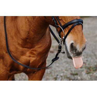 Rênes caoutchouc Norton Training PVC Rênes caoutchouc Norton Training PVC