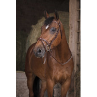 Rênes caoutchouc Norton Pro Havane Marron Rênes caoutchouc Norton Pro Havane Marron