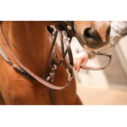 Enrênement Pénélope Howlett Havane Marron