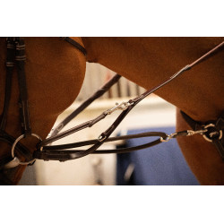 Enrênement Pénélope Howlett Havane Marron