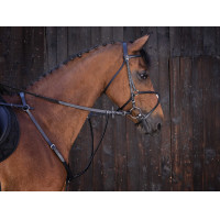 Martingale à anneaux Riding World Noir Martingale à anneaux Riding World Noir