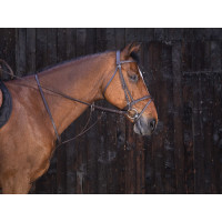 Martingale à anneaux Riding World Noir Martingale à anneaux Riding World Noir