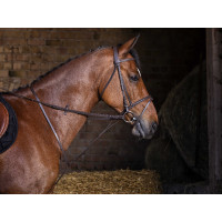 Martingale fixe Riding World Havane