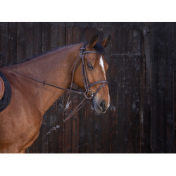 Gogue à poulies Riding World Havane Marron Gogue à poulies Riding World Havane Marron