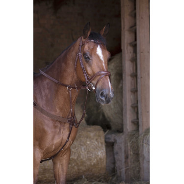 Collier de chasse élastique Norton Pro Collier de chasse élastique Norton Pro