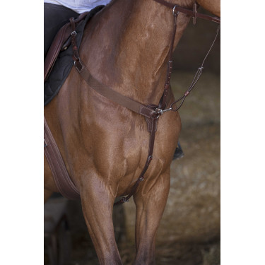 Collier de chasse élastique Norton Pro Collier de chasse élastique Norton Pro