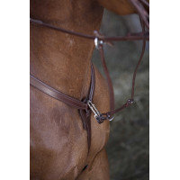 Collier de chasse Norton Pro Havane Marron