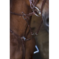 Collier de chasse Norton Pro Havane Marron