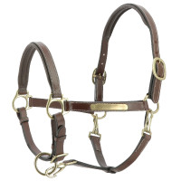 Licol cuir grooming Eric Thomas Pro Havane Marron