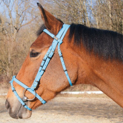 Bridon Biotack® T de T Bridon Biotack® T de T