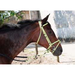Bridon Biotack® T de T Vert Bridon Biotack® T de T Vert
