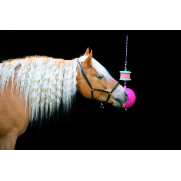 Support pierre à sel Boredom breaker Likit Fuchsia
