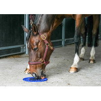 Tapis de léchage Likit Graze Maze Bleu Tapis de léchage Likit Graze Maze Bleu