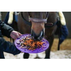 Tapis de léchage Likit Graze Maze Violet