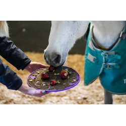 Tapis de léchage Likit Graze Maze Violet