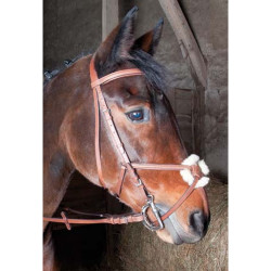 Bridon Sisley Tde T muserolle croisée T de T Havane foncé Bridon Sisley Tde T muserolle croisée T de T Havane foncé