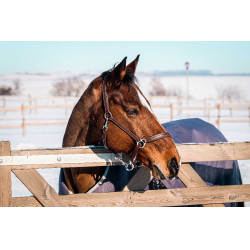 Couverture Equithème Tyrex 1200D recyclée Taupe Marron