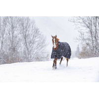 Couverture Riding World Oxford imperméable doublée polaire Noir Couverture Riding World Oxford imperméable doublée polaire Noir
