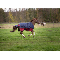 Couverture Equithème Tyrex 1200D Marine / bordeaux Bleu