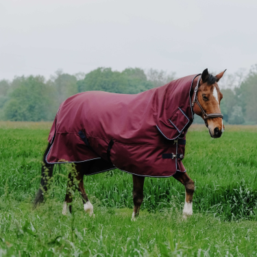 Couverture Equithème TYREX 1200D Combo Bordeaux Couverture Equithème TYREX 1200D Combo Bordeaux