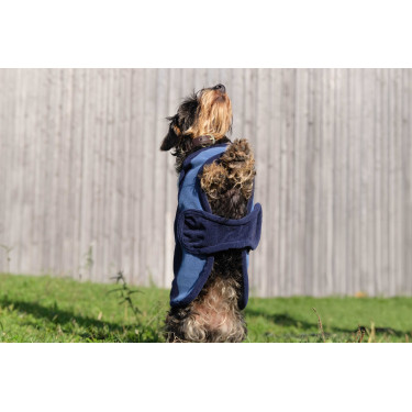 Couverture pour chien Equithème New Market Couverture pour chien Equithème New Market