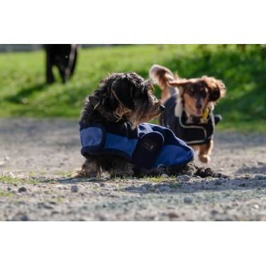 Couverture pour chien Equithème New Market Couverture pour chien Equithème New Market
