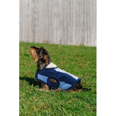 Couverture pour chien Equithème New Market Couverture pour chien Equithème New Market