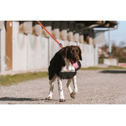 Couverture pour chien Equithème Softshell Noir Couverture pour chien Equithème Softshell Noir