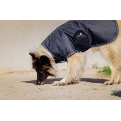 Couverture pour chien Equithème TYREX 600D Bleu / gris Couverture pour chien Equithème TYREX 600D Bleu / gris