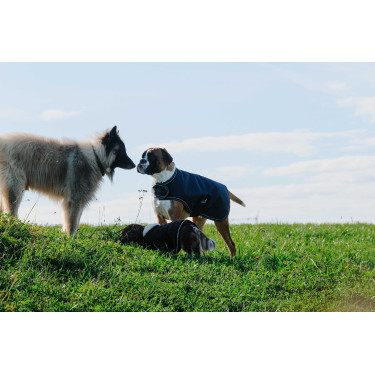 Couverture pour chien Equithème TYREX 600D Couverture pour chien Equithème TYREX 600D