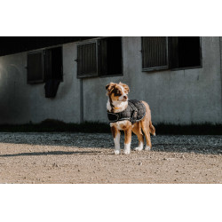 Couverture pour chien Je t'aime Equithème