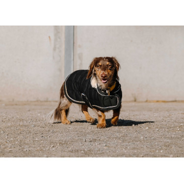 Couverture pour chien Je t'aime Equithème Couverture pour chien Je t'aime Equithème