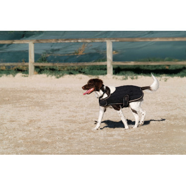 Couverture pour chien Je t'aime Equithème Couverture pour chien Je t'aime Equithème