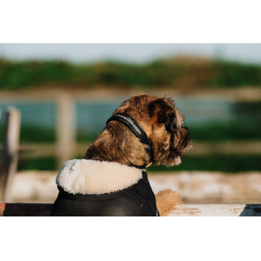 Couverture pour chien Je t'aime Equithème Couverture pour chien Je t'aime Equithème