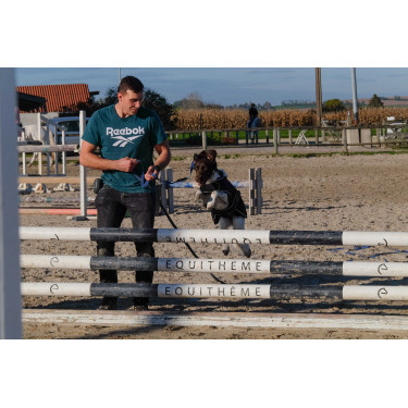 Couverture pour chien Je t'aime Equithème Couverture pour chien Je t'aime Equithème