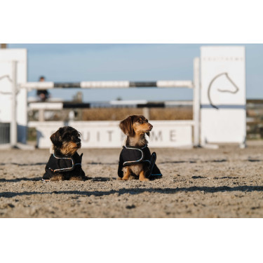 Couverture pour chien Je t'aime Equithème Couverture pour chien Je t'aime Equithème