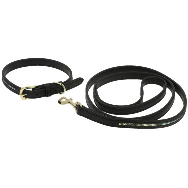 Collier et laisse pour chien Equithème Max Collier et laisse pour chien Equithème Max