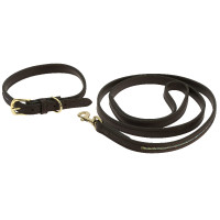 Collier et laisse pour chien Equithème Max Marron Collier et laisse pour chien Equithème Max Marron