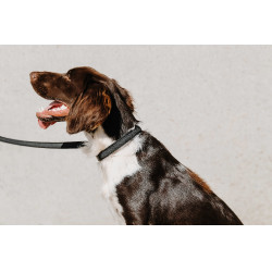 Collier pour chien Equithème Nala Noir