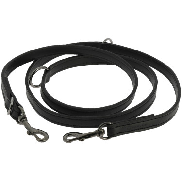 Laisse pour chien Equithème Vortex