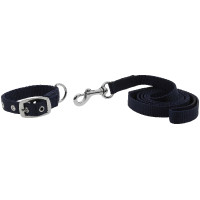 Collier et laisse pour chien Riding World Oscar Noir
