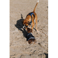 Couverture pour chien Equithème Eco 600D Marine