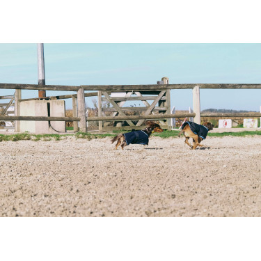 Couverture pour chien Equithème Eco 600D Couverture pour chien Equithème Eco 600D