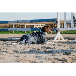 Couverture pour chien Equithème Eco 600D Marine Bleu marine