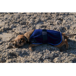 Chemise polaire pour chien Equithème Marine Bleu marine