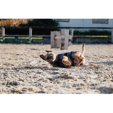 Chemise polaire pour chien Equithème Chemise polaire pour chien Equithème