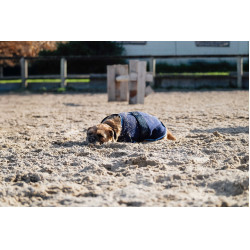 Chemise polaire pour chien Equithème Marine Bleu marine
